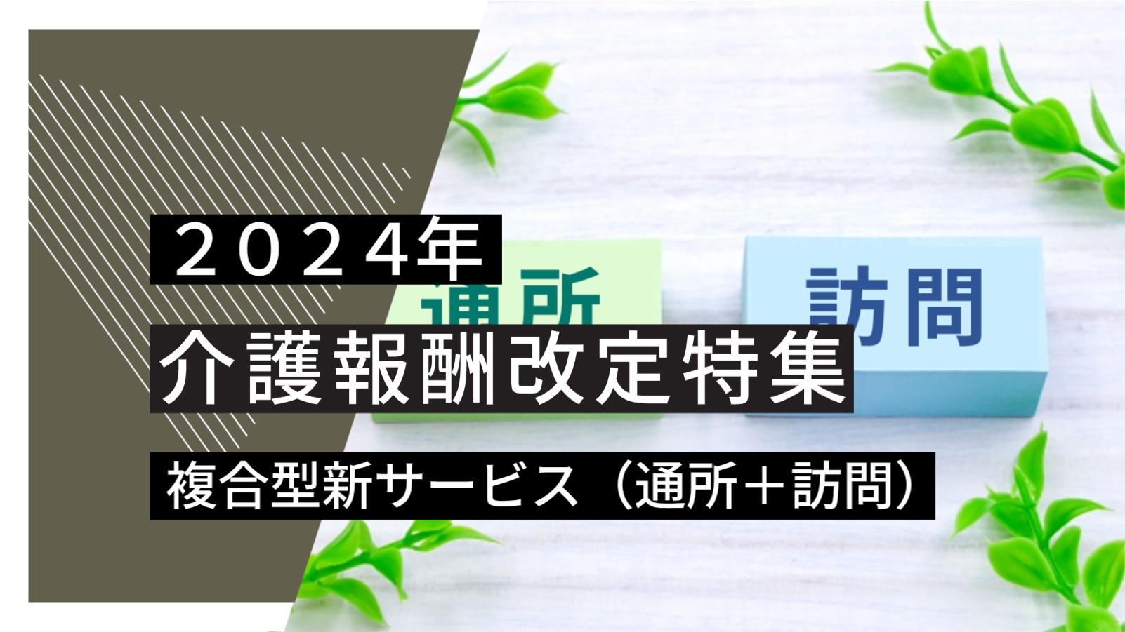 【よくわかる2024年報酬改定】複合型新サービスの創設について【最新情報】