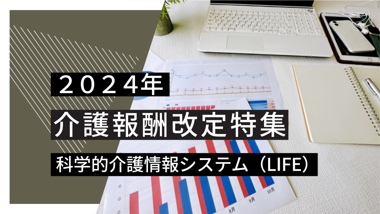 【よくわかる2024年報酬改定】科学的介護情報システム（LIFE）【最新情報】